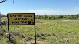 Dicle Üniversitesinde 400 dönümlük arazinin usulsüzce el altından kiralandığı iddiası CİMERe yazıldı