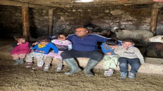 Diyadinde büyükbaş hayvanlar için aşılama ve küpeleme seferberliği