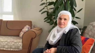 Diyarbakırda 14 inek çalındı, yavrular biberonla besleniyor