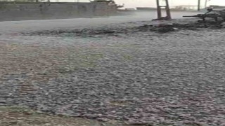 Diyarbakırda dolu yağışı