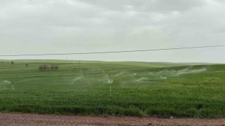 Diyarbakırda ekili arazi yağmurda fıskiye ile sulandı