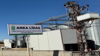 Diyarbakırda lisanssız depolara topladıkları ürünlerden milyonlar vurdular