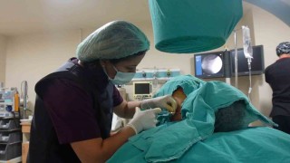 Doç. Dr. Sibel Özcan: Kronik ağrı çözümsüz değildir