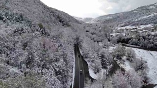 Doğal ağaç tünelli yol, kar manzaralarıyla mest etti