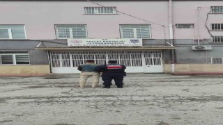 Dolandırıcılık suçundan aranan şahsı jandarma yakaladı