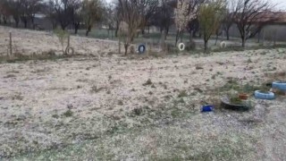 Dolu, hububatta kök hastalığına davetiye çıkardı