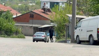 Duyarlı sürücü ve vatandaş, kaplumbağaları ezilmekten kurtardı
