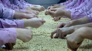 Düzcede AB ülkelerine 8 bin 374 ton gönderildi