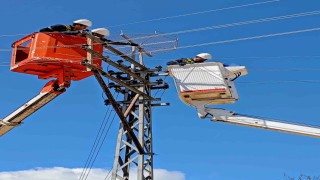 Edirnede leylekler için elektrik direklerine yuvalar yerleştirildi