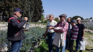 Edremitte zeytin budama kursu uygulamalı eğitimle tamamlandı