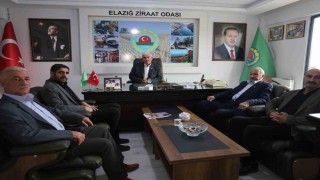 Elazığ Ziraat Odası Başkanı Hacıoğulları: Elazığ, zirai don ile bir deprem daha geçirdi