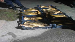 Elazığda kaçak avlanılan 210 kilo balık ele geçirildi