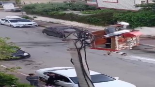 Elektrik tellerine takılan kumru için kurtarma operasyonu