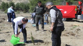 Emekli öğretmenler doğa için kolları sıvadı, onlarca fidan dikti