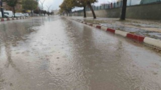 Ercişte yağmur yağışı etkili oldu