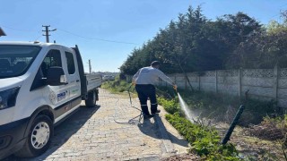 Erenler Belediyesi larva ilaçlama çalışmalarına başladı