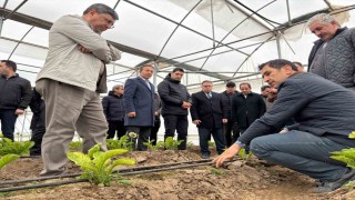 Erzincan heyeti Erbaa Kesme Çiçek Üretim Bölgesinde incelemede bulundu