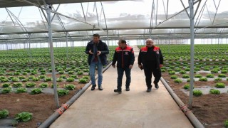Erzincan seralarında yılda 3 ürün dönemi