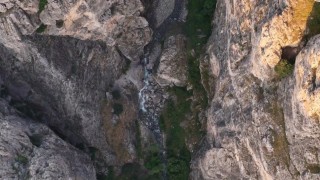 Erzincanda kanyonlarla bütünleşen yaban keçileri