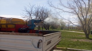 Erzincanda larva ilaçlaması devam ediyor