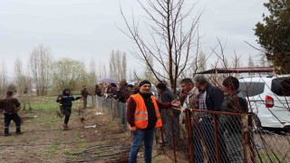 Erzincanda meyve fidanı satışına yoğun ilgi