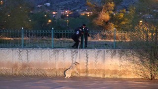 Erzurumda sokak köpeğine kurtarma operasyonu