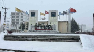 Eskişehirde kar yağışı etkili oldu