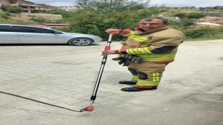 Eve giren yılanı itfaiye yakaladı