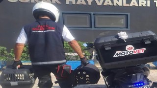 Fatih Belediyesinden doğaya can: Motovet ekibi yaralı kanatlıları hayata kazandırıyor