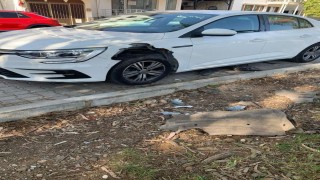 Fethiyede domuzlar otomobili parçaladı