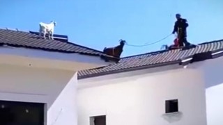 Fethiyede sıra dışı kurtarma operasyonu