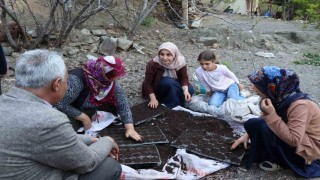 Fidelerini kendileri yetiştiriyorlar