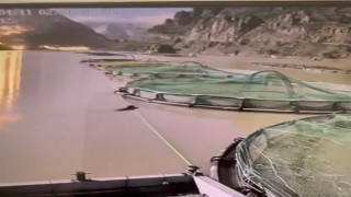 Gündüz vakti somon üretim tesisine giren aç ayı kameralara yakalandı