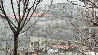Hakkaride Nisan ayında kar yağışı etkili oldu