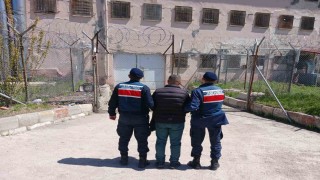 Hapis cezasıyla aranan şahıs jandarma tarafından yakalandı