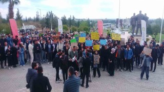 Harran Üniversitesi öğrencilerinden, başıboş sokak köpeğinin saldırısından kaçmaya çalışırken otomobilin çarpması sonucu hayatını kaybeden ölen arkadaşları için eylem