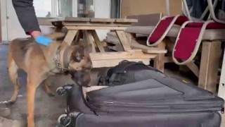 Hera yine uyuşturucuya geçit vermedi