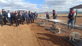 İçişleri Bakan Yardımcısı Aktaşın Şırnak temasları