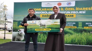 İl genelindeki 127 yetiştiriciye 3 bin 72 koyun ve 128 koç teslim edildi