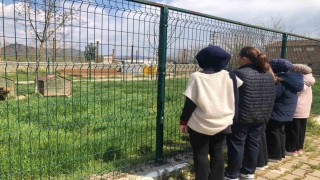 İmam hatip öğrencileri E-twinning projesi kapsamında hayvan barınağını ziyaret etti
