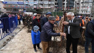 Isparta Belediyesi ücretsiz meyve fidanı dağıtacak