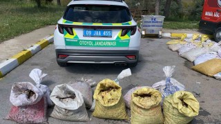 Jandarma 1 ton 800 kilogram salyangoz ele geçirdi