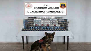Jandarmadan kaçakçılara geçit yok