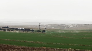 Kaçak elektrikle sulama yağmur yağarken de devam etti