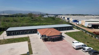 Kahraman köpek Proteonun adının yaşadığı merkez, sokak hayvanlarına şifa dağıtıyor