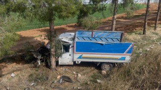 Kamyonet ağaca çarptı, sürücü yaralandı