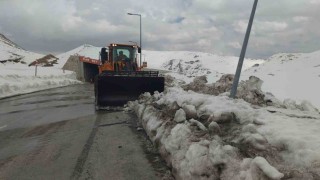 Kar kaplanları Nisan ayında da görevinin başında