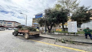 Karacasuda çevre düzenlemesi devam ediyor