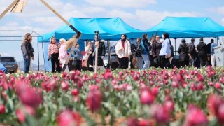 Karamanda lale tarlasını bu yıl 200 bin kişinin ziyaret etmesi bekleniyor