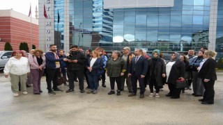 Kastamonu Belediyesinin sokak hayvanlarını toplayarak öldürdüğü iddia edildi